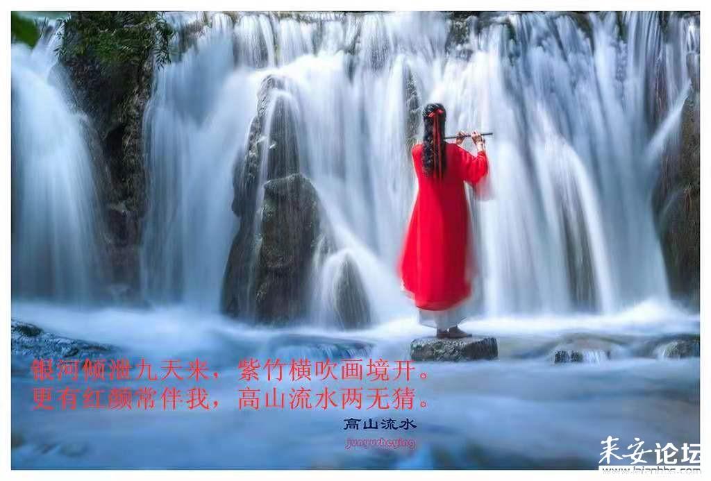 救援受困的火鸡