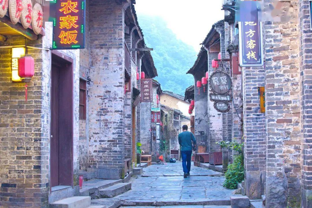 春雨直播app